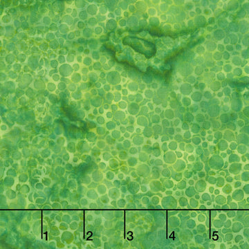 Autumn's Embrace Batiks - Pebbles Green Yardage
