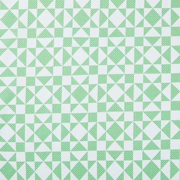 Colorblock Party Cheater Prints - Twinkle Green White 108" Wide Backing