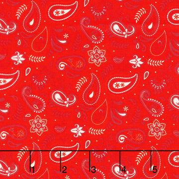 Stripes and Stars - Paisley Red Yardage