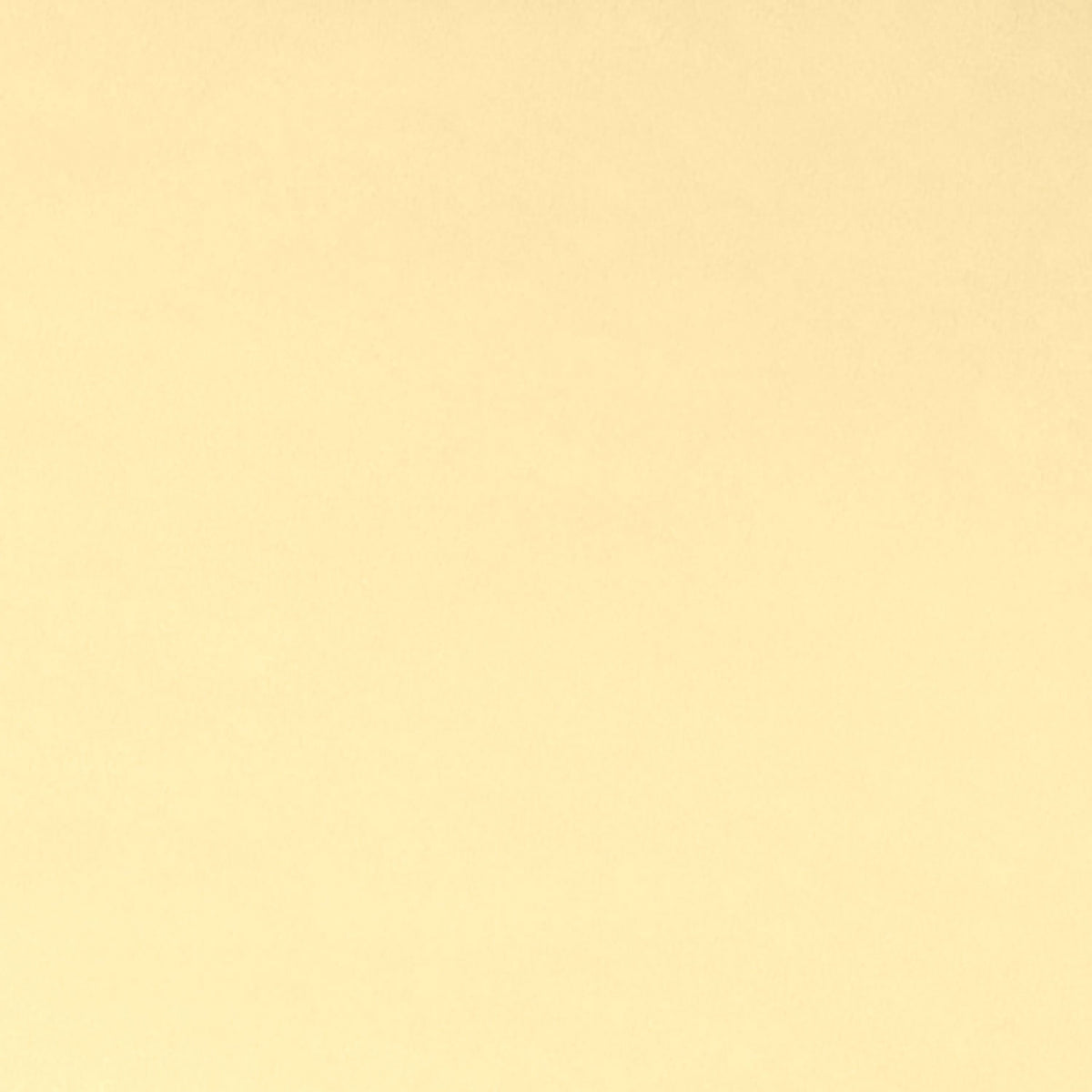 Cuddle Extra Wide - Butter Yardage Primary Image