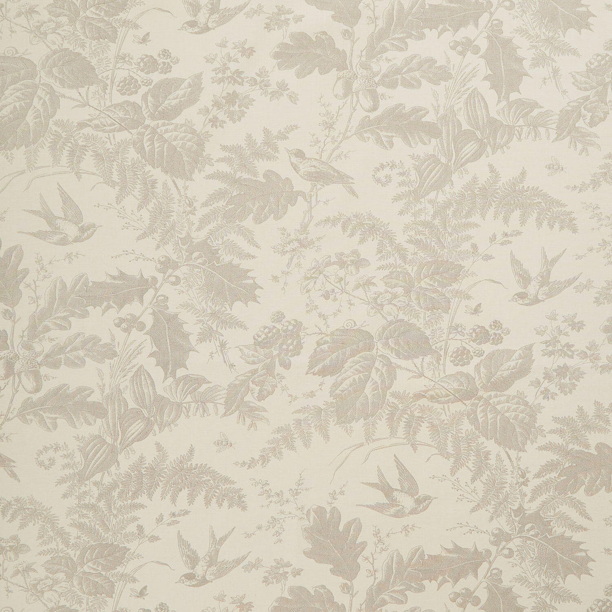 Vermont - Daisy Limestone 108" Wide Backing Yardage
