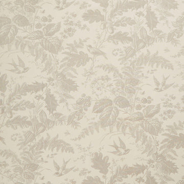 Vermont - Daisy Limestone 108" Wide Backing Yardage