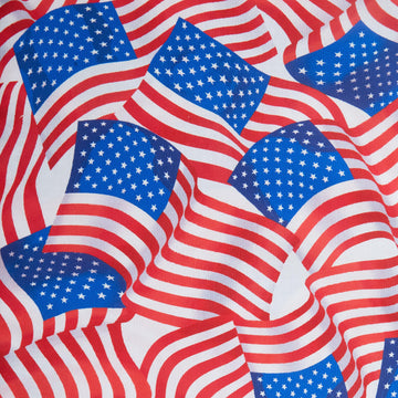 Patriotic - Flag Celebration White 108" 3 Yard Cut