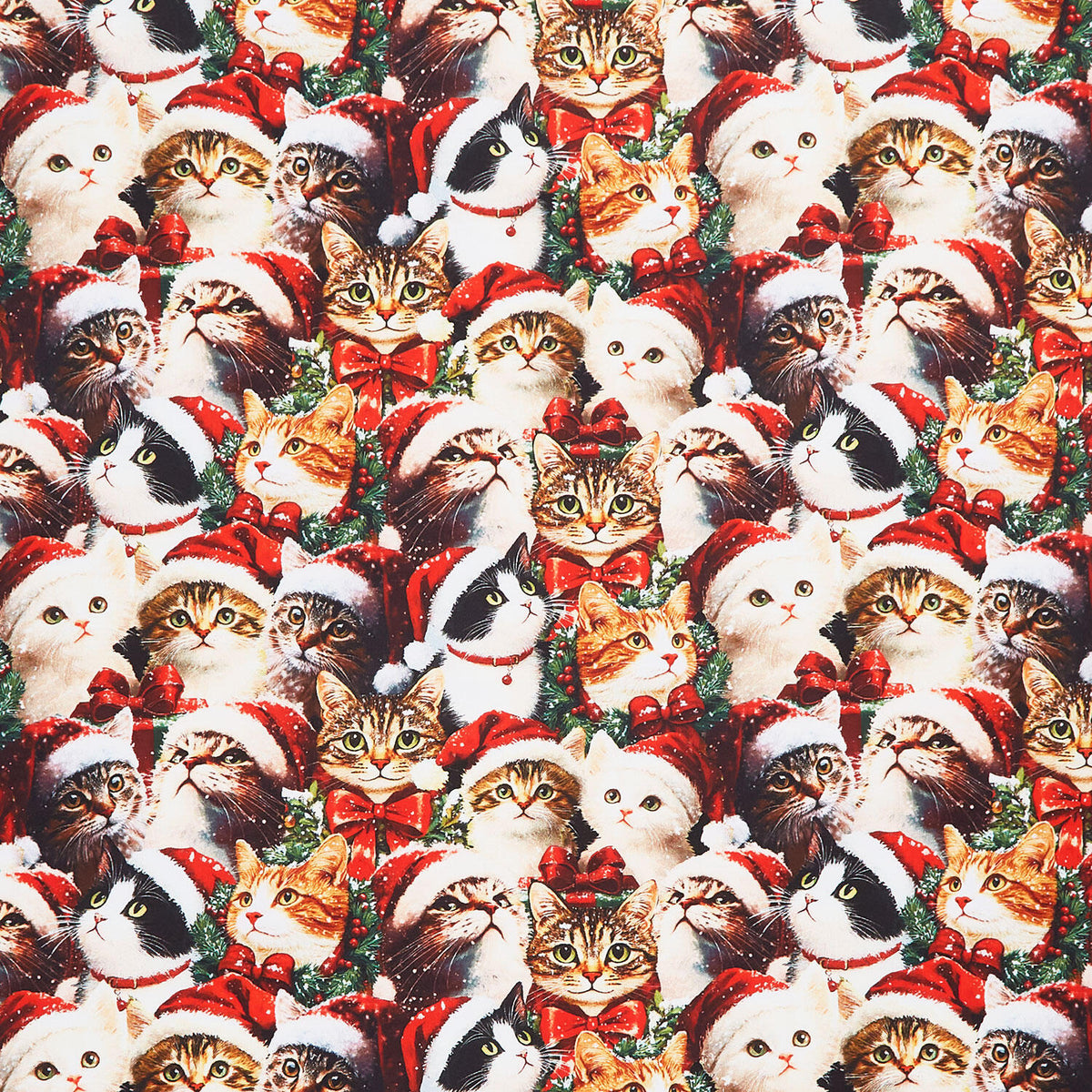 Merry Cats - Merry Cats Portraits Multi Yardage