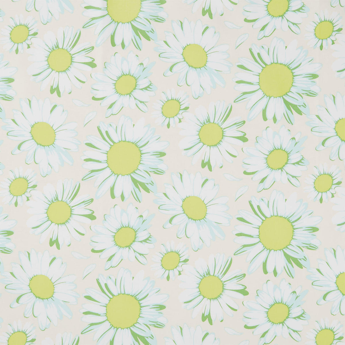 Daisy Crush - Sunshine Daisies Ivory Yardage