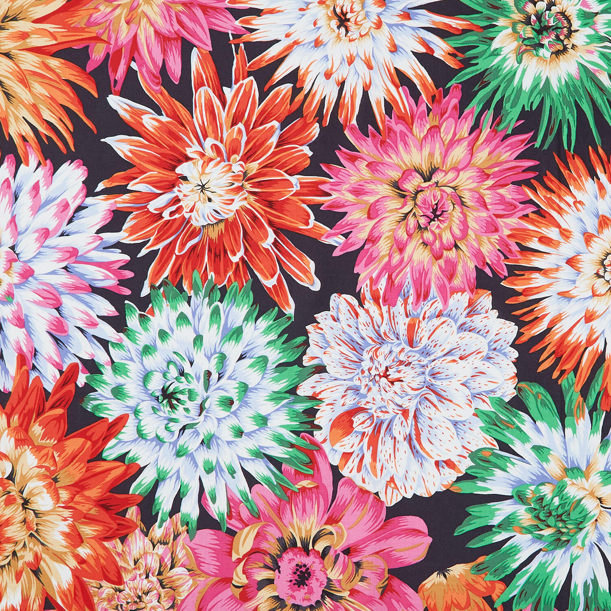 Kaffe Fassett Collective - February 2026 Cactus Dahlia Contrast Yardage