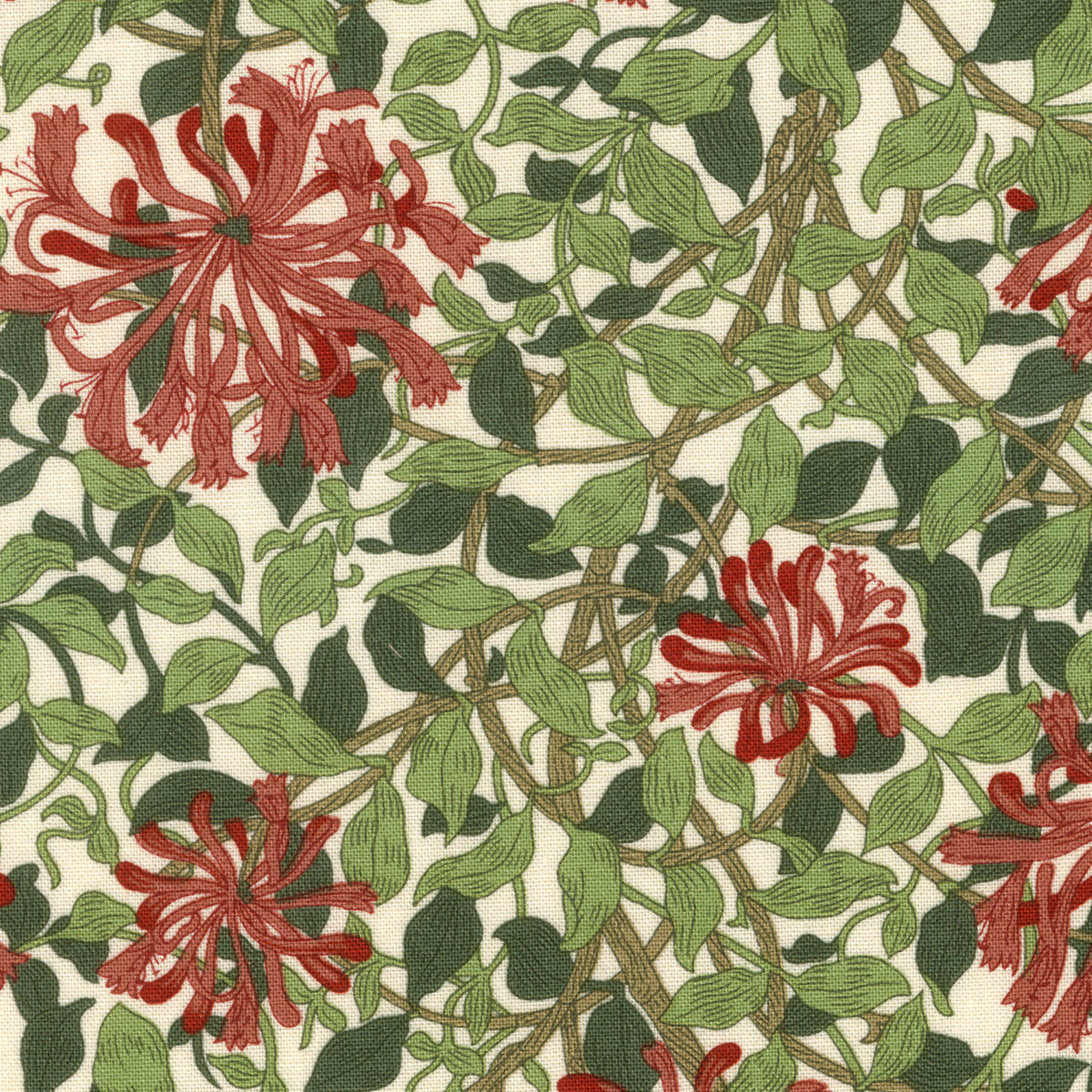 Suffolk Holiday - Small Honeysuckle Madderleaf Yardage