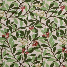 Suffolk Holiday - Large Arbutus Bay 108" Wide Backing Yardage