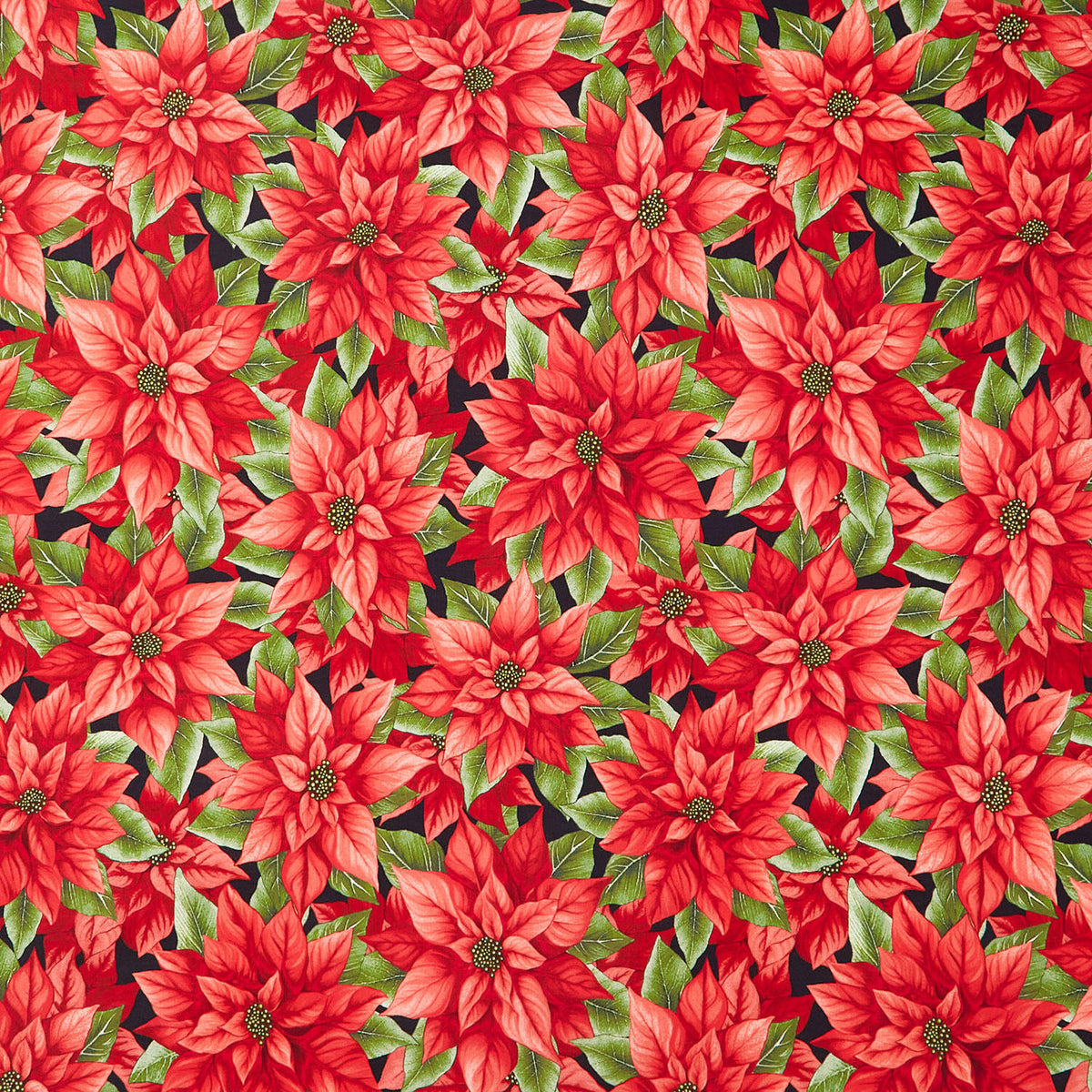 Sweet Christmas Memories - Poinsettia Black Red Multi Digitally Printed Yardage