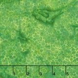 Autumn's Embrace Batiks - Pebbles Green Yardage
