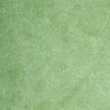 Fine Line Floral Quilt Backs - Green 108" Wide Backing Yardage