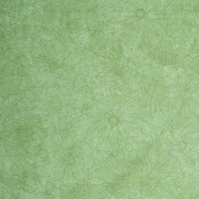 Fine Line Floral Quilt Backs - Green 108" Wide Backing Yardage