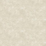 Canvas Basic - Linen Yardage
