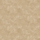 Canvas Basic - Café Au Lait Yardage