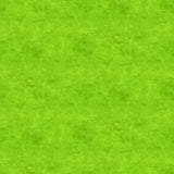 Canvas Basic - Lime Twist Yardage