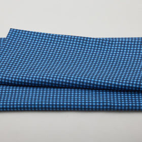 Petal Parade - Blue Gingham 2 Yard Cut