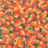 Moon Spell - Pumpkins Yardage