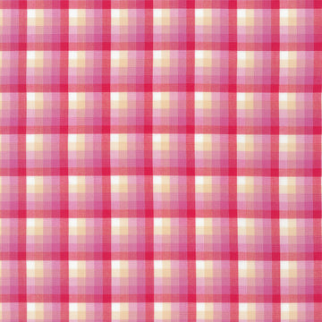 Kitchen Window Wovens - Watermelon Yardage
