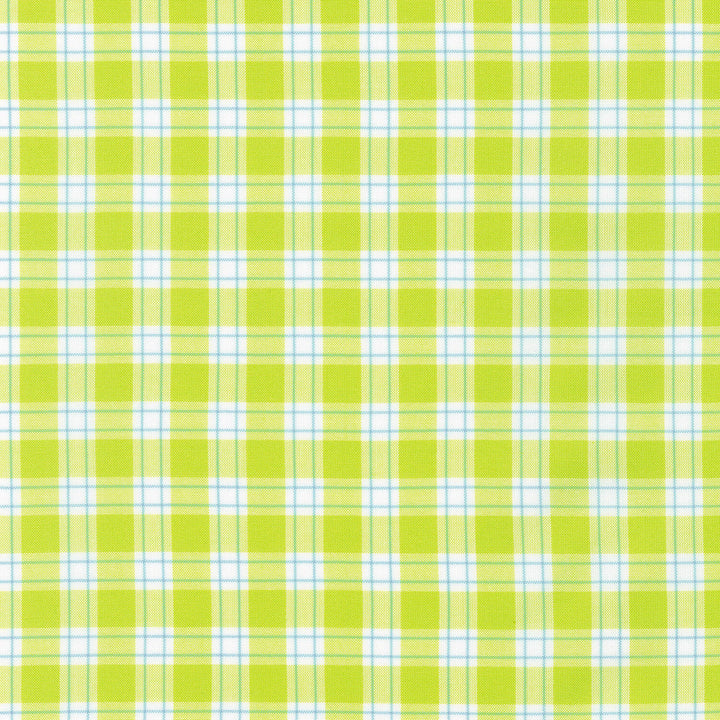 Kitchen Window Wovens - Cactus Yardage