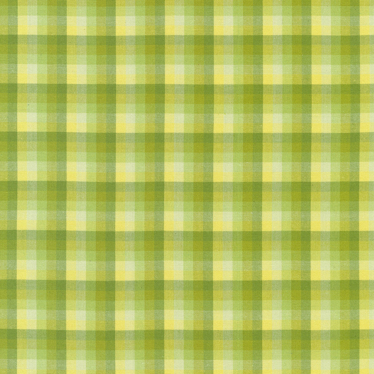 Kitchen Window Wovens - Plaid Zucchini Yardage
