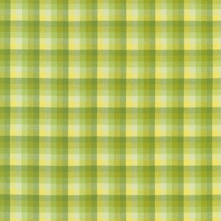 Kitchen Window Wovens - Plaid Zucchini Yardage