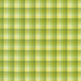 Kitchen Window Wovens - Plaid Zucchini Yardage