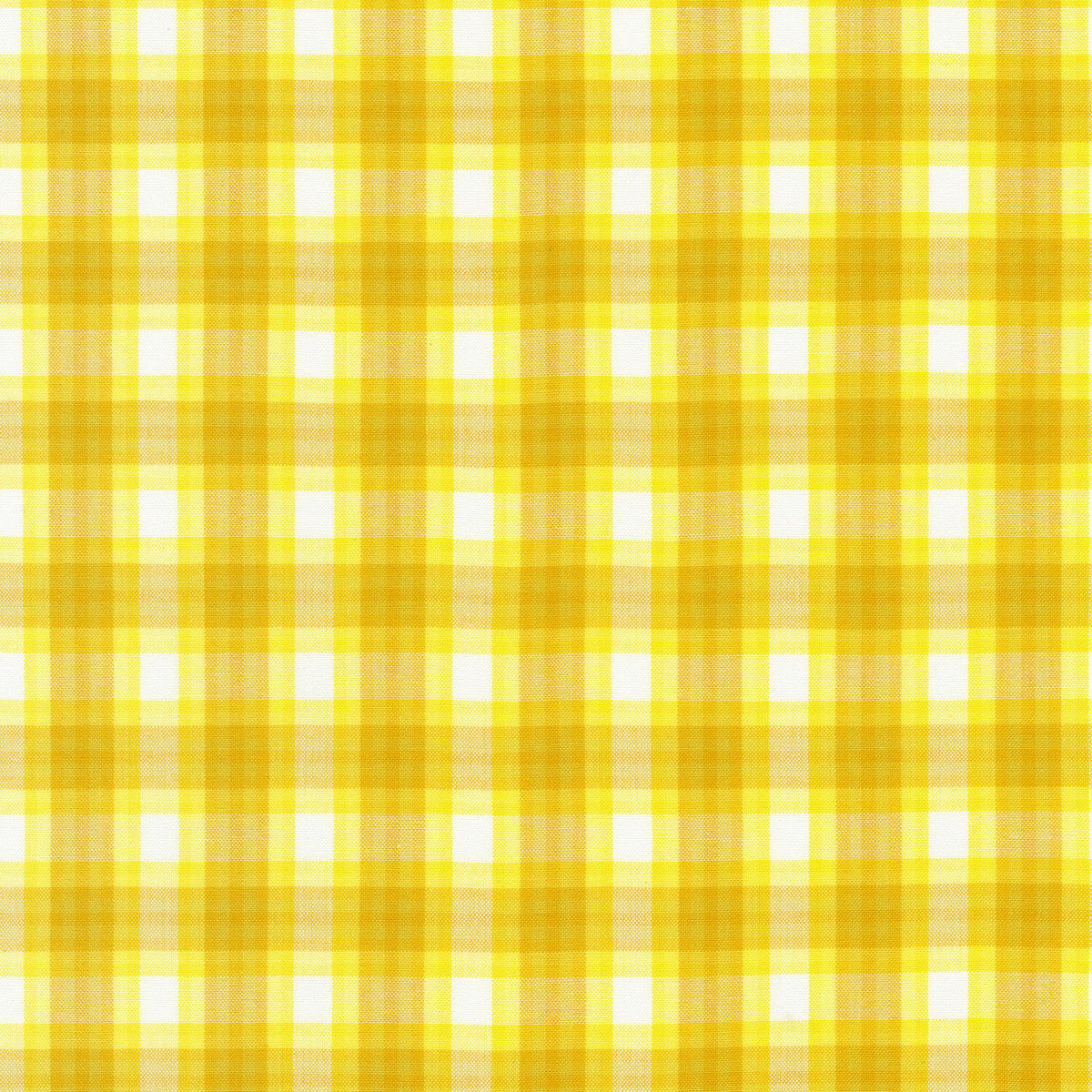 Kitchen Window Wovens - Citrus Yardage