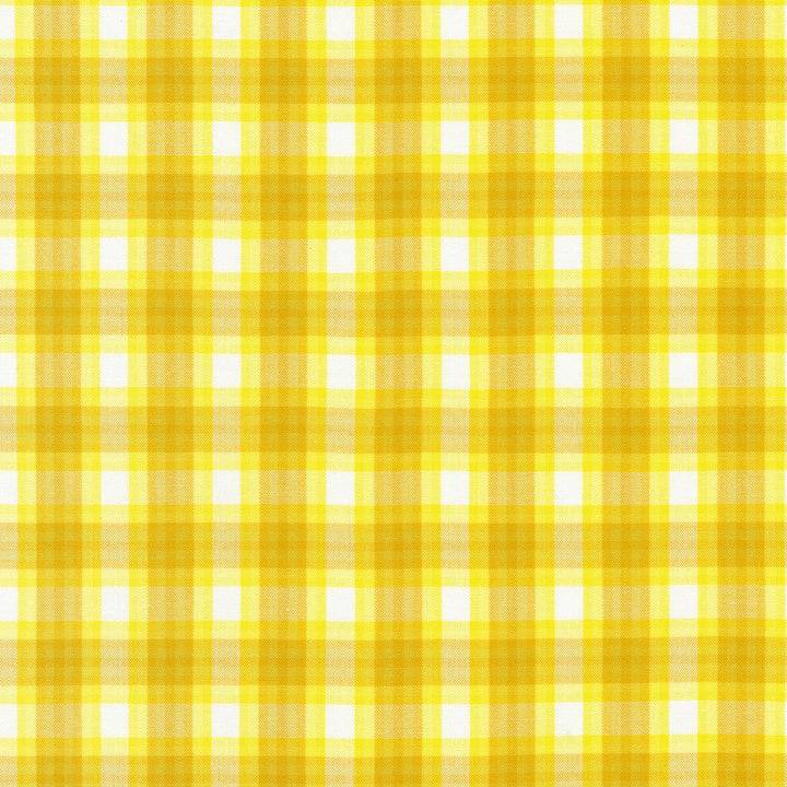 Kitchen Window Wovens - Citrus Yardage