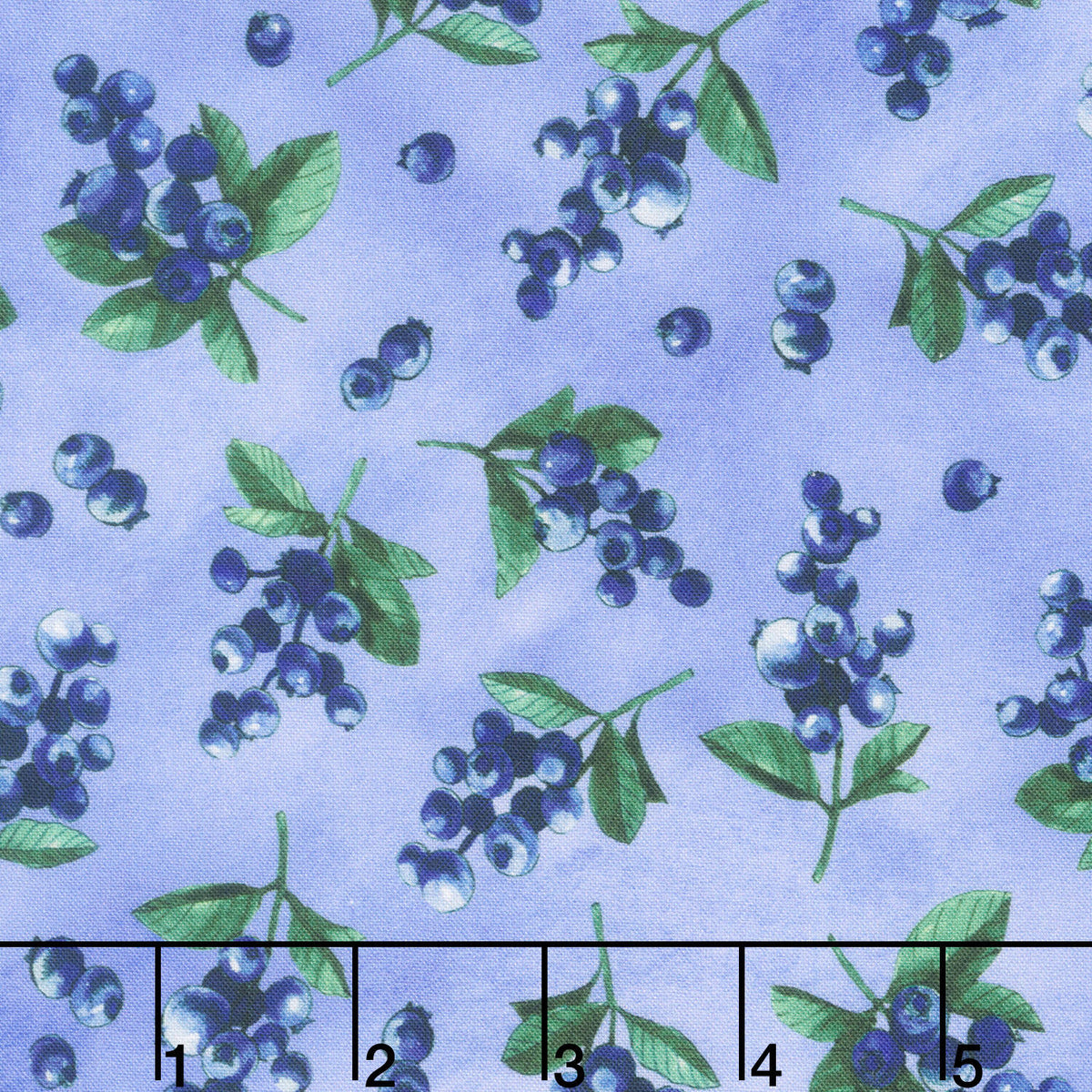 Garden Goodness - Tossed Blueberry Sprigs Blueberry Yardage