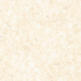 Fundamentals - Stucco Cream Yardage