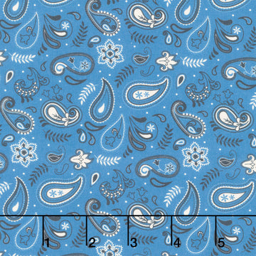 Stripes and Stars - Paisley Blue Yardage