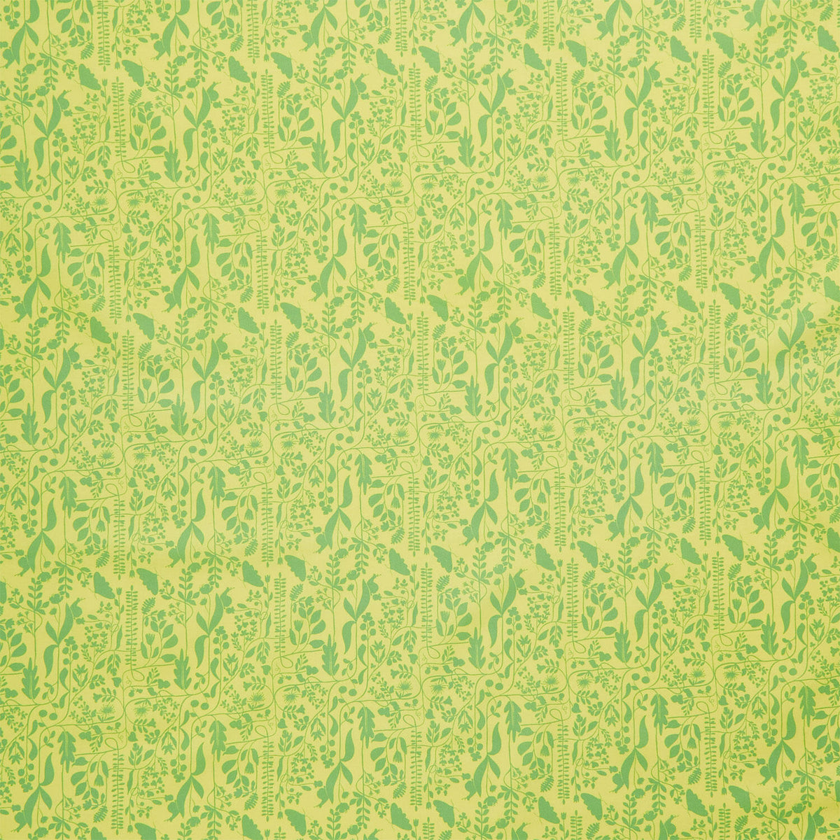 Insectarium - Meander Grass Yardage
