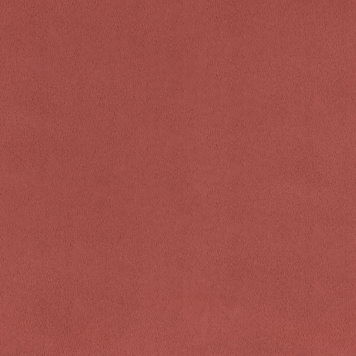 Cuddle® Extra Wide - Cedarwood Yardage Primary Image