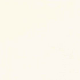 American Made Brand Cotton Solids - Cream Yardage Primary Image