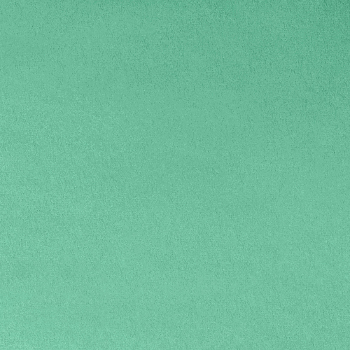 Cuddle® Extra Wide - Spearmint Yardage Primary Image