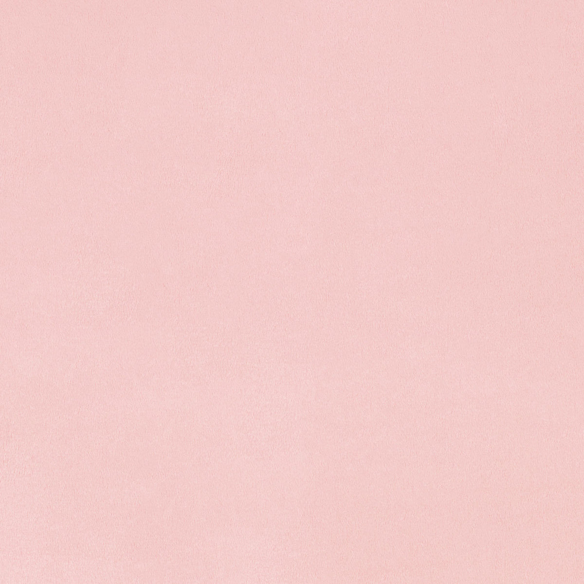 Cuddle® Extra Wide - Rosewater Yardage Primary Image