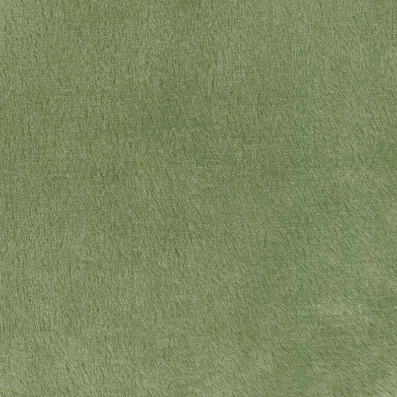 Cuddle® Solids - Cactus 60" Minky Yardage Primary Image