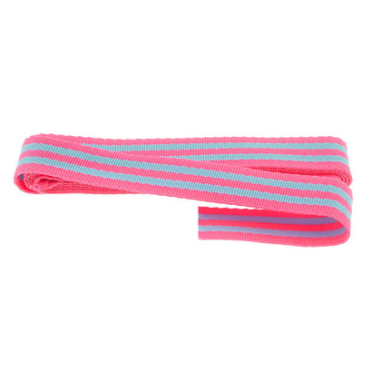 Tula Pink 1" Webbing - Blue Aqua and Hot Pink