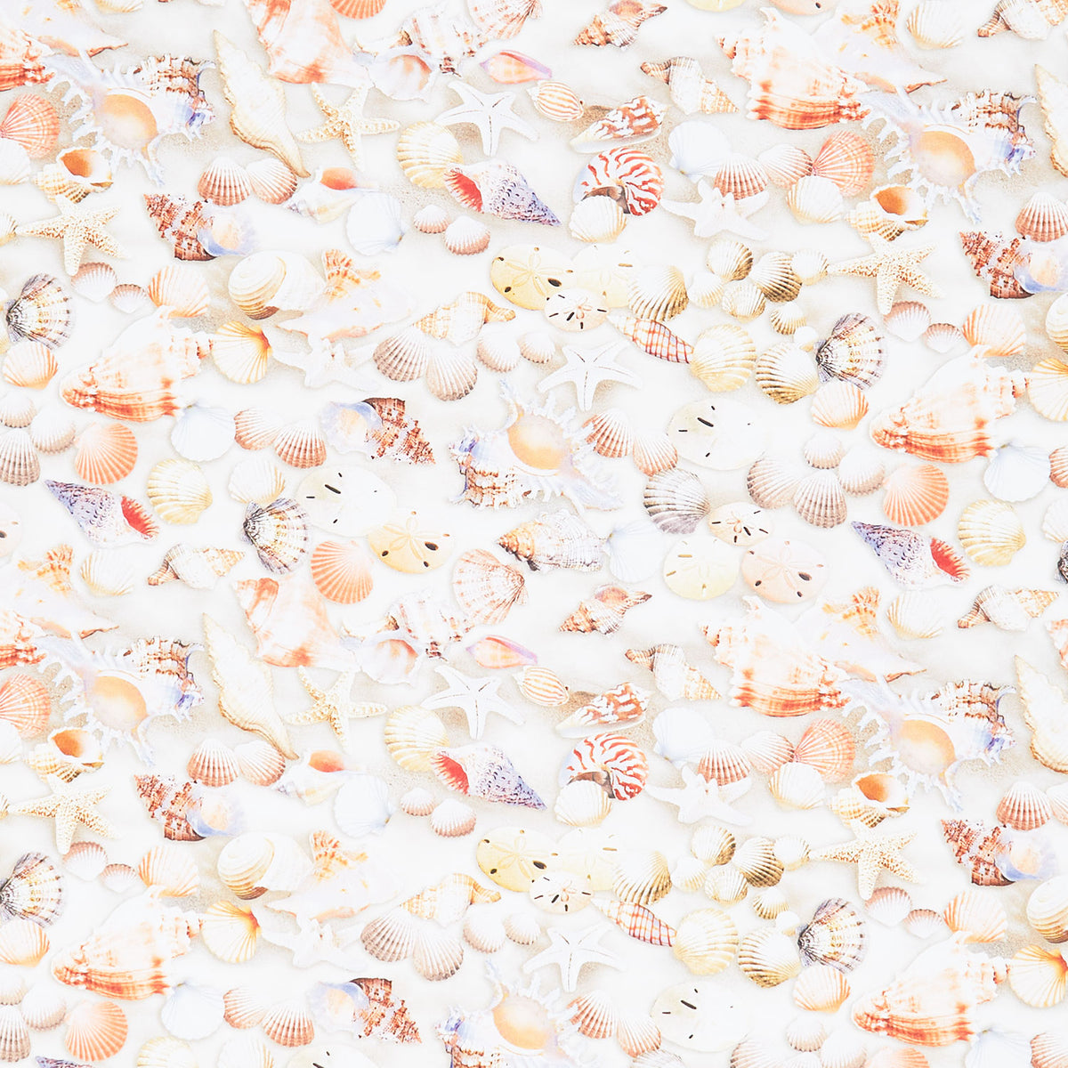 Novelty - Beachcomber Shells Multi Yardage Primary Image