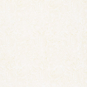 Foundations Neutrals Batiks - Swirls Neutral Yardage Primary Image
