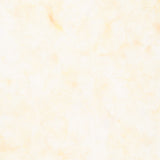 Foundations Neutrals Batiks - Paisley Dots Light Tan Yardage Primary Image