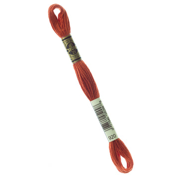 DMC Embroidery Floss - 920 Medium Copper Primary Image