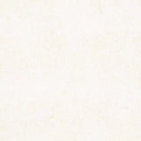 Foundations Neutrals Batiks - Swirl Circles Neutral Yardage Primary Image