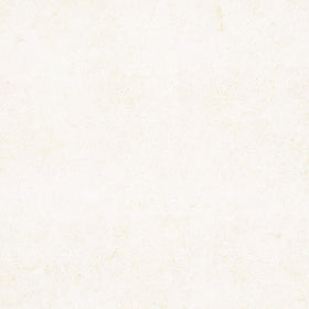 Foundations Neutrals Batiks - Swirl Circles Neutral Yardage Primary Image