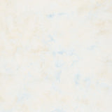 Foundations Neutrals Batiks - Dots Neutral Yardage Primary Image