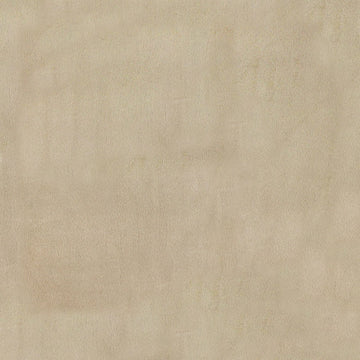 Cuddle® Solids - Latte 60" Minky Yardage