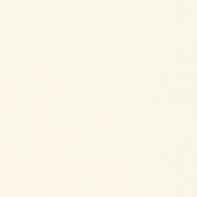 Flannel Solid - Solid Natural Yardage Primary Image