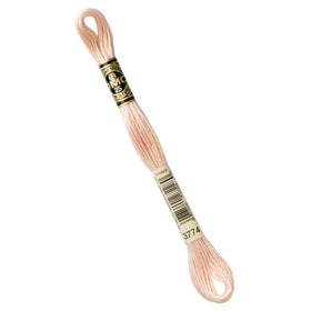 DMC Embroidery Floss - 3774 Very Light Desert Sand Primary Image