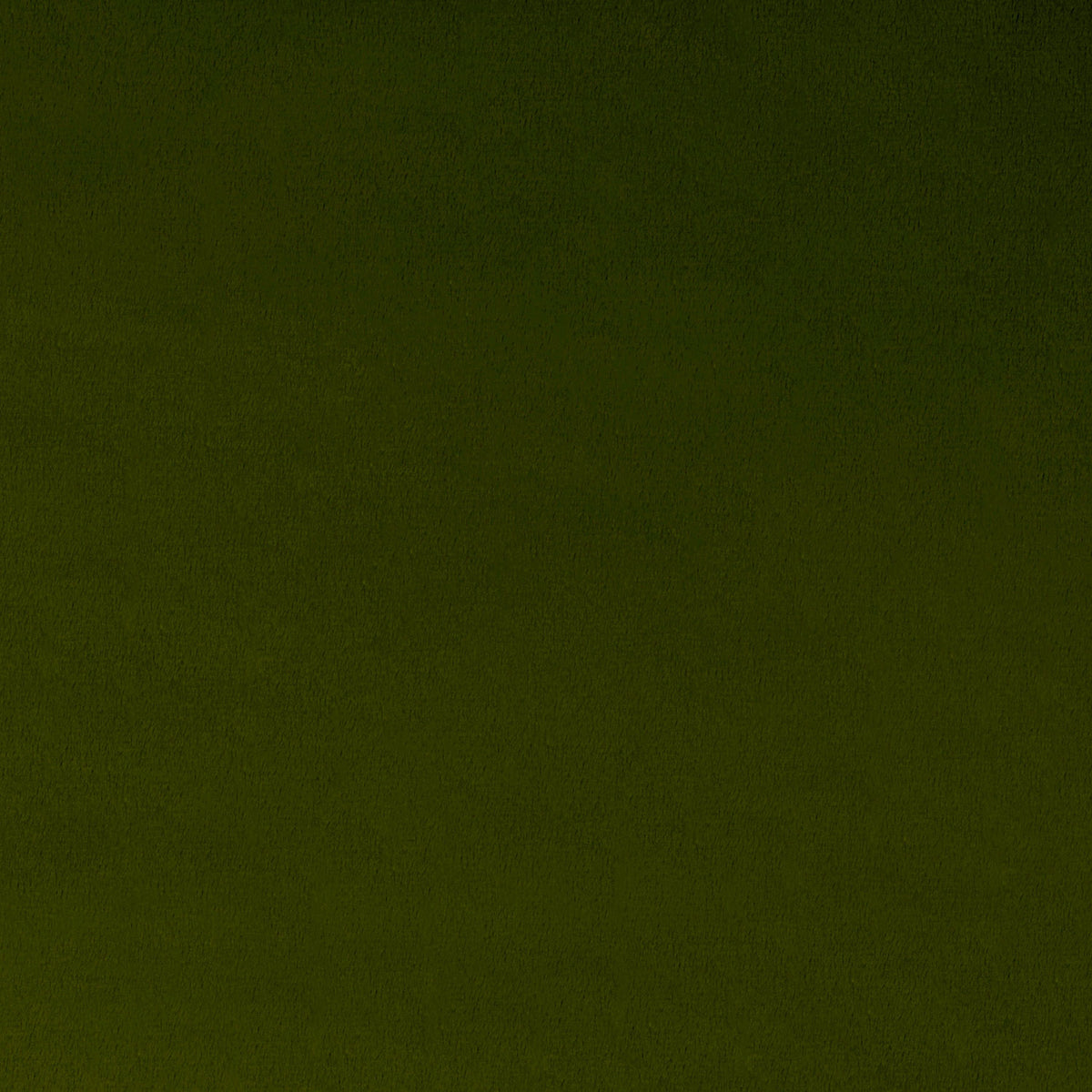 Cuddle® Extra Wide - Loden Yardage Primary Image