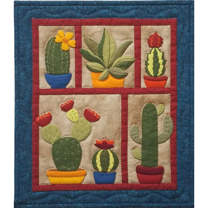 Succulents Kit